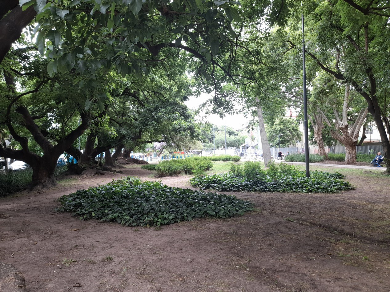 Vista abierta a la ciudad! 3 ambientes amoblado.