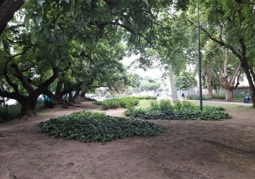 Vista abierta a la ciudad! 3 ambientes amoblado.